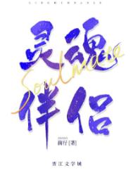 我的灵魂伴侣英文怎么写