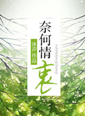 奈何情深视频文案